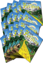 Small posters 11 x 17 (25 count)