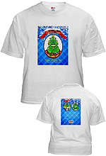Custom t-shirt featuring your book