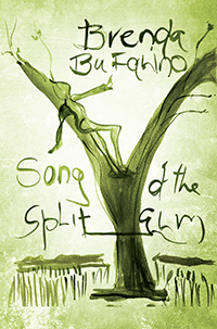 Song of the Split Elm