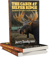 The Cabin at Silver Ridge book stack