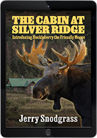 The Cabin at Silver Ridge eBook