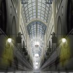 Illustration (1) Purple_S