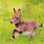 Illustration (1) Bluebell_S