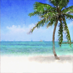 Illustration (15) Bluebell_S