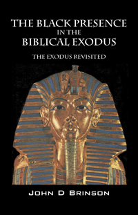 The Black Presence In The Biblical Exodus