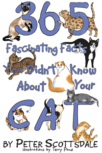 365 Fascinating Facts You Didn't Know About Your Cat