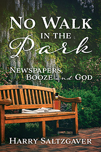No Walk in the Park (eBook Edition)