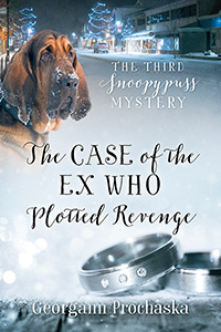 The Case of the Ex Who Plotted Revenge
