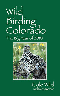Wild Birding Colorado