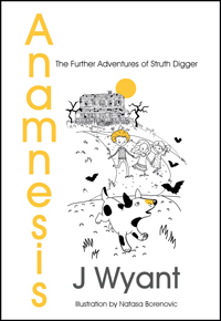 Anamnesis
