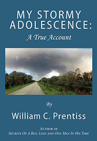 My Stormy Adolescence