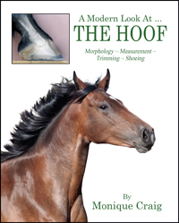 A Modern Look At ... THE HOOF