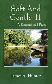 Soft And Gentle 11_eBook
