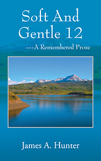 Soft And Gentle 12 (eBook Edition)