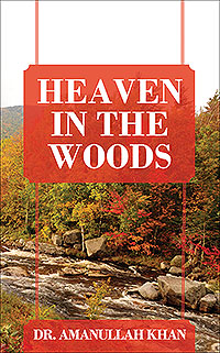 Heaven in the Woods