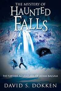 The Mystery of Haunted Falls