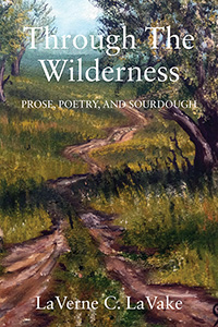 Through the Wilderness (eBook Edition)