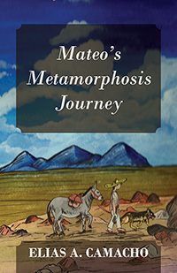 Mateo's Metamorphosis Journey