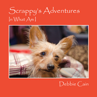 Scrappy's Adventures