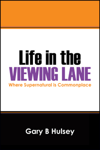Life in the Viewing Lane