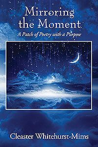 Mirroring the Moment