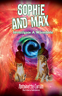 Sophie and Max Investigate a Wormhole