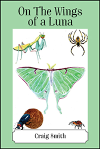 On The Wings of a Luna