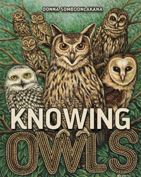 Knowing Owls
