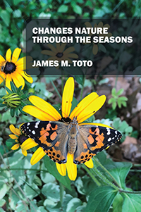 Changes Nature Through the Seasons