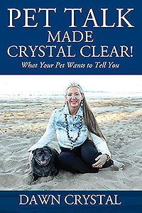 PET TALK Made Crystal Clear!