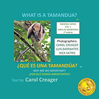 What is a Tamandua