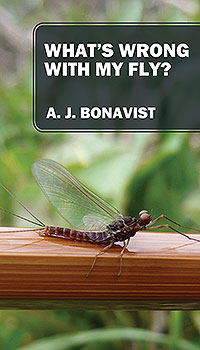 What's Wrong With My Fly?