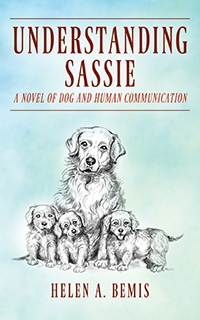 Understanding Sassie