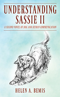 Understanding Sassie II