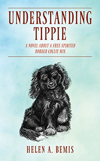 Understanding Tippie