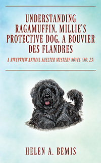 Understanding Ragamuffin, Millie's Protective Dog, a Bouvier des Flandres