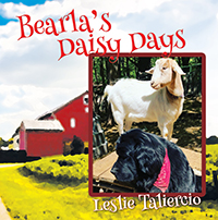 Bearla's Daisy Days
