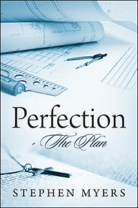 Perfection - The Plan