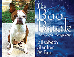 The Boo Book