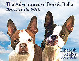 The Adventures of Boo & Belle