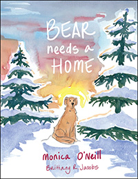 Bear Needs A Home