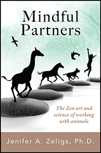 Mindful Partners