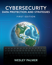Cybersecurity - Data Protection and Strategies by Wesley Palmer ...