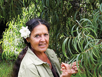 Kapua Janai