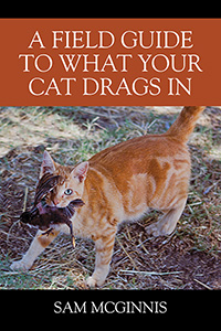 A Field Guide to What Your Cat Drags In