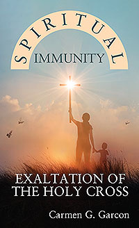 Spiritual Immunity
