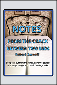 NOTES FROM THE CRACK BETWEEN TWO BEDS