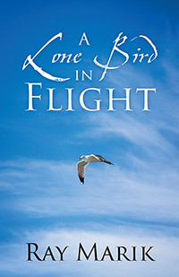 A Lone Bird in Flight