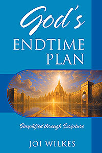 God's Endtime Plan (eBook Edition)