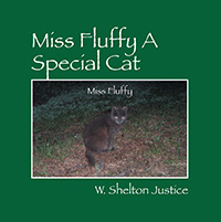 Miss Fluffy A Special Cat